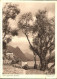 11385900 Gandria Lago Di Lugano Partie Am See Gandria - Other & Unclassified