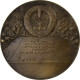 France, Médaille, Gloire Au Soldat Inconnu, 1918, Bronze, Raoul Bénard, TTB+ - Sonstige & Ohne Zuordnung
