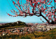 73944989 Brescia_Lombardia_IT La Primavera - Sonstige & Ohne Zuordnung