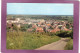 67 OBERNAI Vue Générale Panoramique - Obernai