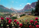 72974227 Cortina D Ampezzo Col Rosa  Cortina D Ampezzo - Sonstige & Ohne Zuordnung