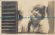 R080500 Miss Drina Verchesi. British Beauty. Rotary Photo. 1919 - Mondo