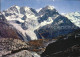 12395836 Fuorcla Surlej Piz Bernina Piz Roseg Surlej, Fuorcla - Other & Unclassified