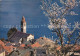 12379346 Ronco Sopra Ascona Blick Auf Kirche Lago Maggiore Baumbluete Ronco Sopr - Autres & Non Classés