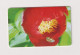 ROMANIA - Flowers Chip  Phonecard - Roumanie