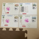 Taiwanese Train Postmarks - Trains