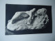 CYPRUS    POSTCARDS  MARBLE EROS   MORE  PURHASES 10%  DISCOUNT - Cyprus