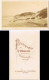Ansichtskarte Sylt Insel Sylt - Strand Und Dünen 1886 Kabinettfoto - Altri & Non Classificati