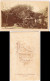 Westerland Sylt Hinterhof, Häuser - Stühle Um Baum CDV 1891 Kabinettfoto - Other & Unclassified