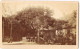 Westerland Sylt Hinterhof, Häuser - Stühle Um Baum CDV 1891 Kabinettfoto - Autres & Non Classés