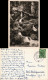 Ansichtskarte Schwangau Pöllatschlucht 1952 - Autres & Non Classés