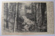 FRANCE - VOSGES - GERARDMER - La Cascade De Retournemer - 1902 - Gerardmer