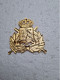 Militaria INSIGNE Béret Armée Luxembourg, Version Officier.......................REF 1/colonne2 - Hueste