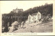 12323306 Leysin Sanatorium Populaire Et Sanatorium Des Chamois Leysin - Autres & Non Classés