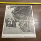 1908 PATI ROI D'ANGLETERRE A MARIENBAD Edouard VII - Collections