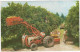 OLDTIMER FORD TRACTOR - Citrus Harvest In Florida - (USA) - Tracteur Agricole / Traktor - PKW