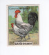 Chromo POULES Campine De Brakel 55 X 45 Mm TB Cafés Gilbert  2 Scans - Tee & Kaffee