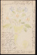 Künstler-AK Prägekarte Blumen Im Horn, CHRIMMITZSCHAU 8.3.1905 Nach PLAUEN 8.3. - Unclassified