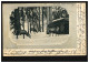 Tiere-AK Hirsche Bei Der Winterfütterung, AMBULANT 5 - 7.7.1902 Nach ZELL 8.7.02 - Sonstige & Ohne Zuordnung