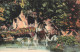 78-VERSAILLES LE PARC BAINS D APOLLON-N°T5269-B/0371 - Versailles (Kasteel)