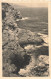 83-CAP NEGRE-N°T5273-F/0117 - Le Lavandou