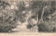 77-FONTAINEBLEAU LA FORET LES GORGES DE FRANCHARD-N°T5276-H/0143 - Fontainebleau