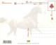 Format Spécial - 149 X 120 Mms - Animaux - Chevaux - Multivues - Carte Neuve - Frais Spécifique En Raison Du Format - CP - Pferde