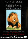 Animaux - Fauves - Lion - Réserve Africaine De Sigean - Zoo - CPM - Voir Scans Recto-Verso - Leones