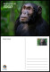 TOGO 2024 STATIONERY CARD - REGULAR - CHIMPANZEE MONKEY MONKEYS APES - BIODIVERSITY BIODIVERSITE - Chimpancés