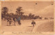 26930 " BENGASI-LA VIA DI DRIANA COL PALMETO DEI SABRI " ANIMATA-VERA FOTOCART.POST.  SPED.1925 - Libyen