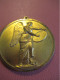 Grande Médaille Pendentif  / Presse/ LIBERTE DIMANCHE/Seine Maritime / Bronze Doré /Vers  1980            MED504 - Autres & Non Classés