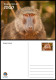 TOGO 2024 STATIONERY CARD - REGULAR - MONKEY MONKEYS APES APE BABOON SINGES - BIODIVERSITY BIODIVERSITE - Scimmie