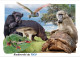 TOGO 2024 STATIONERY CARD MX - REG - MUSHROOMS OWL FROG FROGS TURTLE TURTLES HIPPOPOTAMUS BAOBAB MONKEY MONKEYS - Schildkröten