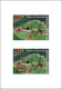 TOGO 2024 SET 9 DELUXE PROOF - REG & OVPT - MUSHROOMS OWL FROG FROGS TURTLE TURTLES HIPPOPOTAMUS BAOBAB MONKEY MONKEYS - Turtles