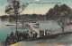 CPA AUSTRALIE / CABARITA / PARRAMATTA RIVER / SYDNEY - Altri & Non Classificati