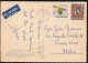 °°° 30926 - AUSTRALIA - GREAT GREY KANGAROO - 1967 With Stamps °°° - Other & Unclassified