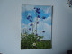 GERMANY    POSTCARDS   1969 RASTATT FLOWERS   MORE  PURHASES 10% DISCOUNT - Autres & Non Classés