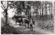 ZAMBIA - Rural Scene - Bullock Cart - Zambie