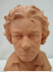 BELLE  STATUETTE EN  TERRE CUITE  DE BEETHOVEN  SIGNE PAR NAMINI  HAUT. DE 30 Cm - Altri & Non Classificati