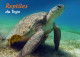 TOGO 2024 STATIONERY CARD - REG - REPTILES - TURTLE TURTLES TORTUES SNAKE SNAKES SERPENTS CROCODILE - Turtles