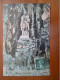 Carte Postale 26 Lyon L'homme De La Roche Aqua Photo Paris V - Autres & Non Classés