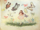Nanou Fille-Fleur Illustré Par Mateja Texte J.R Laharpe Eo 1945 - Other & Unclassified