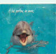 Animaux - Dauphins - CPM - Voir Scans Recto-Verso - Delphine