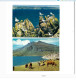 Delcampe - Lot De 8 Cartes Postales"Animaux". - Collections & Lots