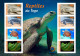 TOGO 2024 PACK 6 MS IMPERF - REG & OVERPRINT - AMPHIBIANS & REPTILES - FROG FROGS TURTLE TURTLES SNAKES CROCODILE - MNH - Tartarughe