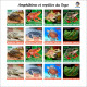 Delcampe - TOGO 2024 PACK 6 MS IMPERF - REG & OVERPRINT - AMPHIBIANS & REPTILES - FROG FROGS TURTLE TURTLES SNAKES CROCODILE - MNH - Tartarughe