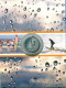 NEERLANDÉS NETHERLANDS 5 EURO 2010 PLATA PROOF #SET1091.22.E.A - Jahressets & Polierte Platten