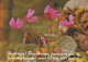 FLOWERS Vintage Ansichtskarte Postkarte CPSM #PBZ018.A - Flowers