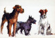 CANE Animale Vintage Cartolina CPSM #PAN649.A - Hunde