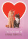 KATZE MIEZEKATZE Tier Vintage Ansichtskarte Postkarte CPSM #PAM520.A - Katten
